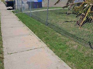 Frank T.'s lawn care service result