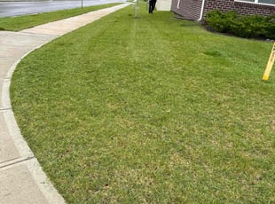 Bruce V.'s grass maintenance service result