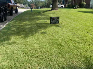 Matt E.'s grass cutting service result