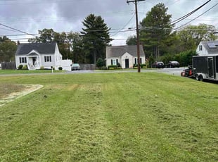 Tina D.'s grass cutting service result