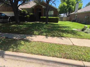 Jarvis A.'s grass cutting service result