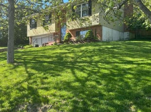 Rafika V.'s lawn care service result