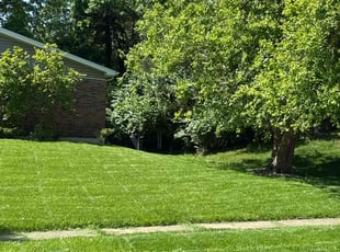Danielle M.'s lawn care service result