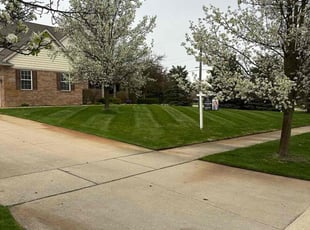 John D.'s turf care service result
