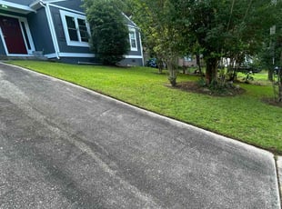 Tri L.'s grass maintenance service result