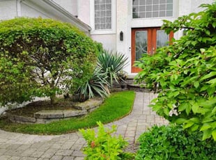 Leonard K.'s Bush Trimming service result