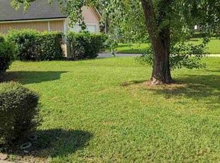 Tamyka F.'s Other service result