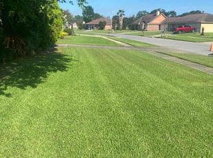 Beatrice B.'s grass maintenance service result