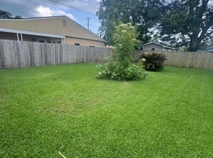 Mike C.'s grass cutting service result