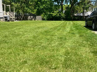 Christopher S.'s grass maintenance service result
