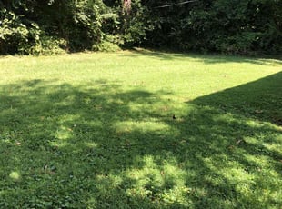 Katherine P.'s lawn care service result