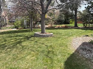 Cindy A.'s lawn maintenance service result