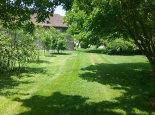 Empress G.'s turf maintenance service result