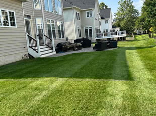 Ashley A.'s turf maintenance service result
