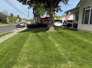Leo P.'s lawn maintenance service result