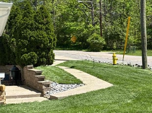 Keturah F.'s turf maintenance service result
