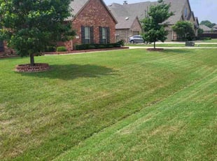Sabrina N.'s lawn maintenance service result