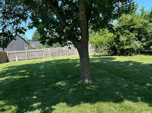 Saurabh B.'s lawn care service result