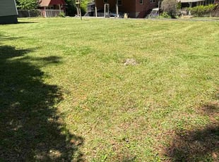 Russell S.'s grass cutting service result