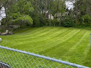 Laurie C.'s turf maintenance service result