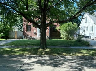 Laura G.'s turf maintenance service result