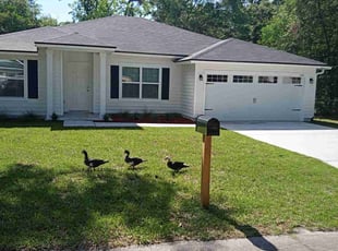 Jaciel m.'s lawn maintenance service result