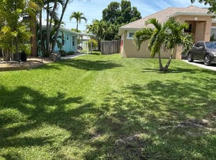 Luis D.'s grass cutting service result