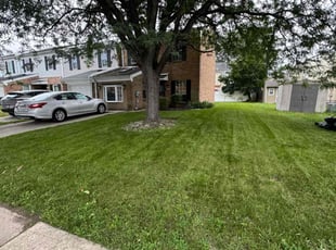Sherri H.'s lawn care service result