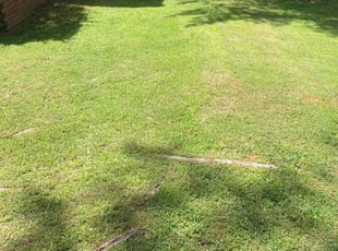 Michelle C.'s lawn care services service result