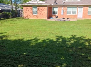 Ayla B.'s turf care service result