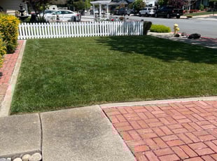 Amirshahram H.'s grass maintenance service result