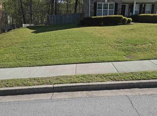 Phillip A.'s lawn maintenance service result