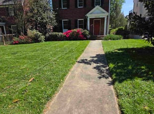 Clay R.'s turf maintenance service result