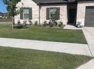 Brea S.'s lawn service service result