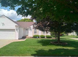 Terri L.'s turf care service result