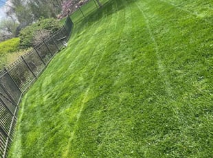Keith M.'s lawn service service result