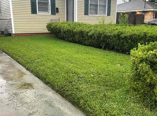 Bradley C.'s grass maintenance service result