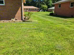 Linda C.'s grass cutting service result