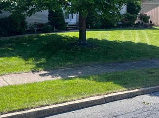 Kellie F.'s turf care service result
