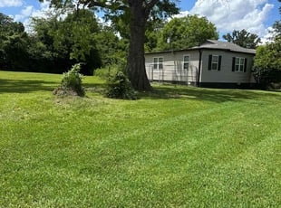 Catherine L.'s lawn service service result