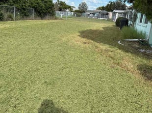 Beth H.'s turf care service result