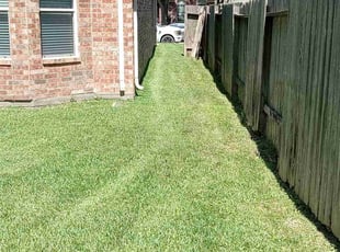 Damon C.'s grass cutting service result