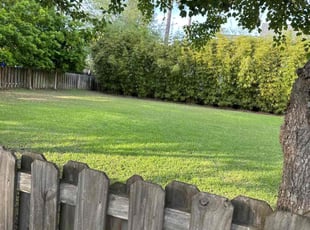 Kelly O.'s lawn maintenance service result