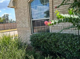 Benson C.'s Bush Trimming service result