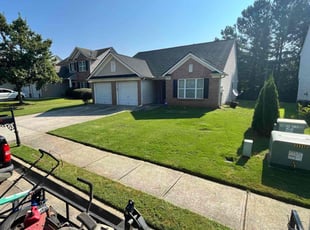 Sylvia D.'s turf care service result