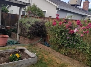 William W.'s Bush Trimming service result