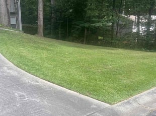 Morgan C.'s grass cutting service result