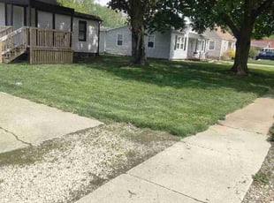 Maria F.'s lawn care services service result