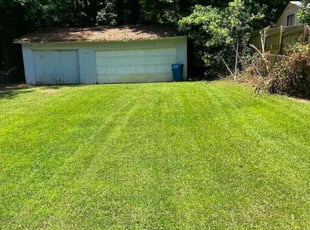 Brenda N.'s lawn care services service result
