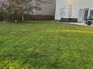 Teresa R.'s turf maintenance service result